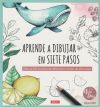 Aprende a dibujar en 7 pasos