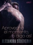 Portada de Aprovecha el momento, o algo así - Relato erótico (Ebook)