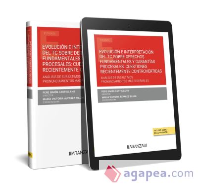 Evolución e interpretación del TC sobre derechos fundamentales y garantías procesales: cuestiones recientemente controvertidas