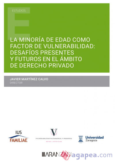 Minoría de edad como factor de vulnerabilidad: desafíos presentes y futuros en el ámbito del derecho privado