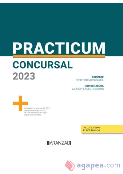 Practicum Concursal 2023