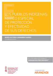Portada de Pueblos indígenas: marco especial de protección y efectividad de sus derechos