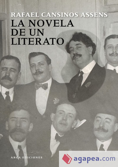 La novela de un literato