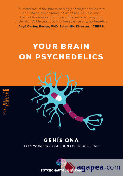 Your brain on psychedelics