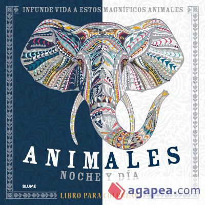 Animales. Noche y día