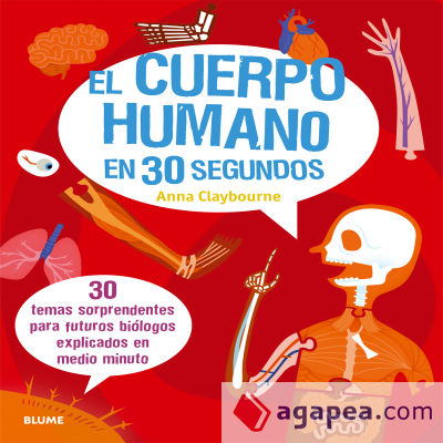 El cuerpo humano en 30 segundos