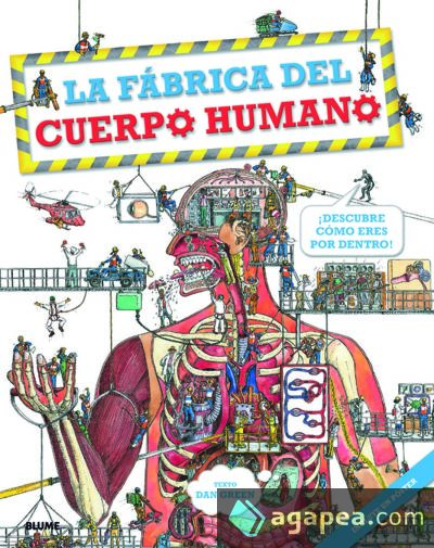 Fábrica del cuerpo humano, La