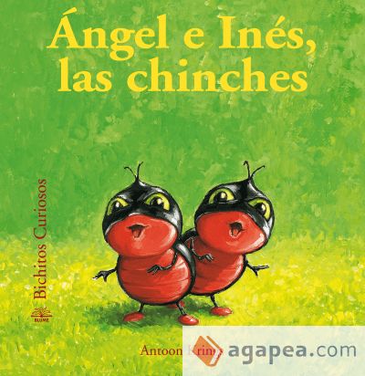 Ángel e Inés, las chinches