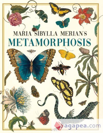 Maria Sibylla Merianâs Metamorphosis Maria Sibylla Merianâs Metamorphosis