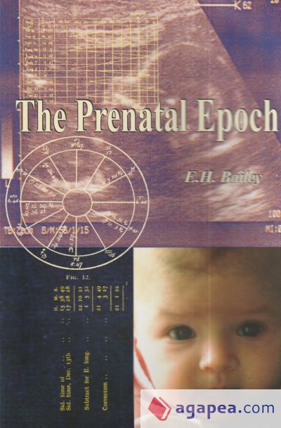 The Prenatal Epoch