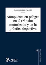 Portada de Autopuesta en peligro tránsito motorizado