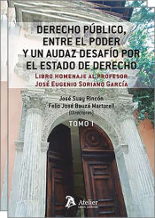 Portada de Derecho público, entre el poder y audaz desafío por el estado de derecho, 2 vols