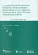 Portada de Promocion de los derechos humanos y de los principios democraticos en las relaciones exteriores de la union europea: mecanismos juridicos