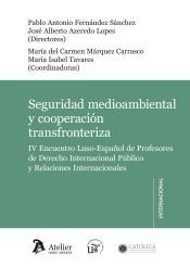 Portada de Seguridad ambiental y cooperaci&oacute;n transfronteriza
