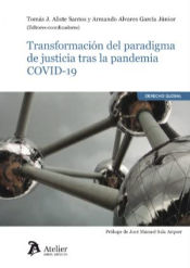 Portada de Transformación del paradigma de justicia tras la pandemia COVID-19
