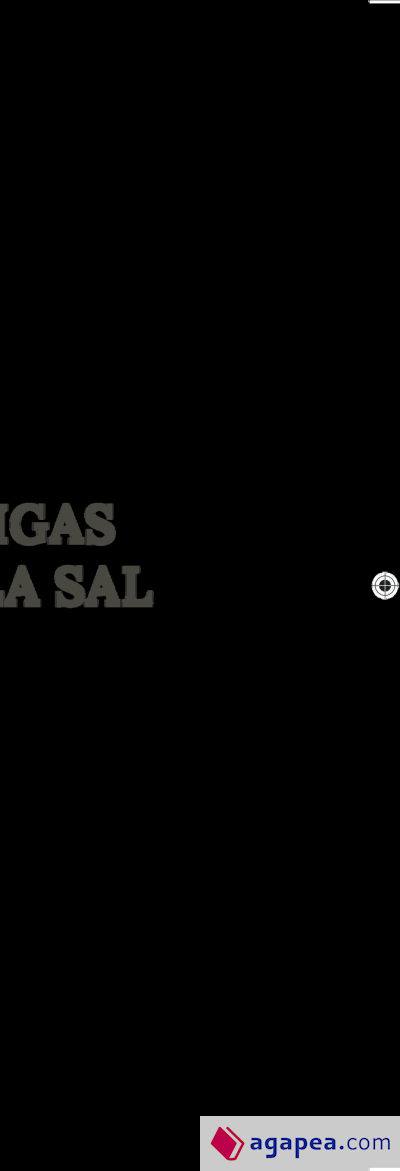 Hormigas sobre la sal