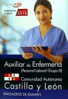 Auxiliar de Enfermería de la Comunidad Autónoma Castilla y León. Personal Laboral Grupo III. Simulacros de examen