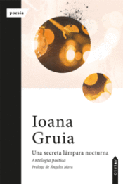Portada de Una secreta lámpara nocturna