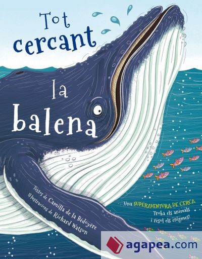 Tot cercant la balena