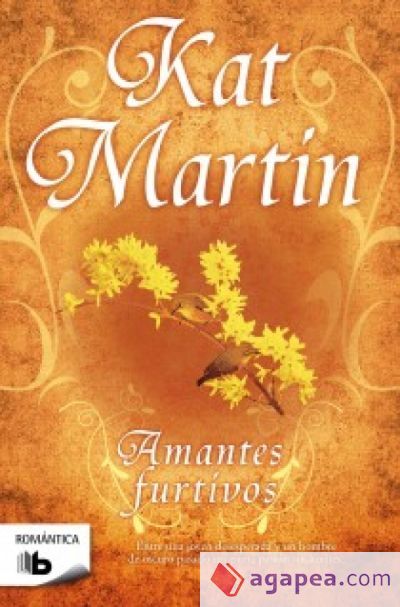 Amantes furtivos