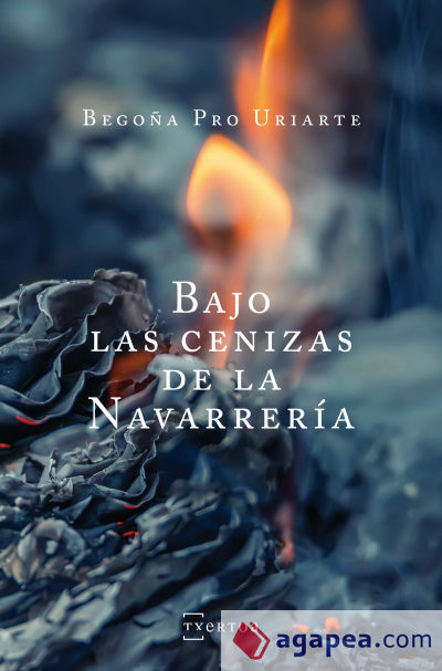 BAJO LAS CENIZAS DE LA NAVARRERIA