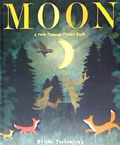 Portada de Moon: A Peek-Through Picture Book