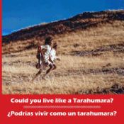 Portada de Could You Live Like a Tarahumara? Podrias Vivir Como Un Tarahumara? Bilingual Spanish and English