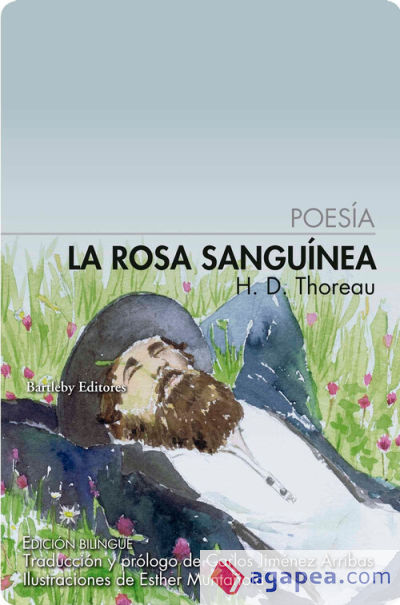 LA ROSA SANGUINEA