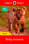 BBC EARTH: BABY ANIMALS (LB)