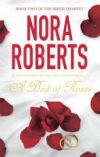 BED OF ROSES O.VARIAS