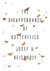 Portada de The Disappearance of Butterflies