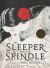 Portada de THE SLEEPER AND THE SPINDER, de Neil Gaiman