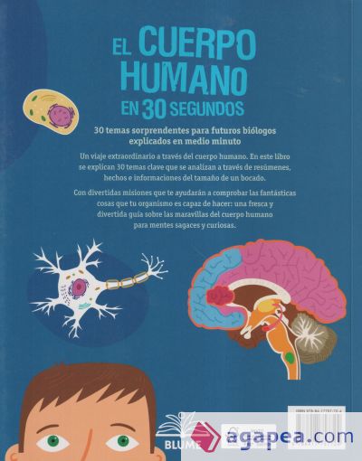 30 segundos. Cuerpo humano (2020)