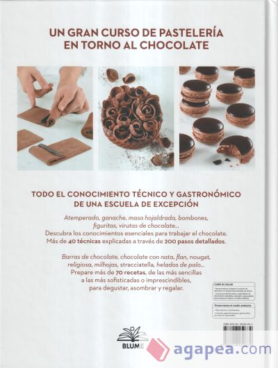 Chocolate. Ferrandi