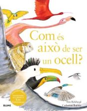 Portada de Com és això de ser un ocell?