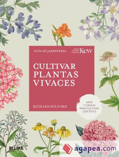 Cultivar plantas vivaces