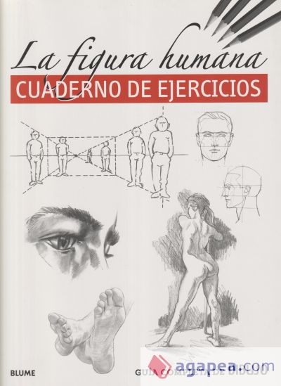 Guía completa de dibujo. Figura humana (ejercicios)