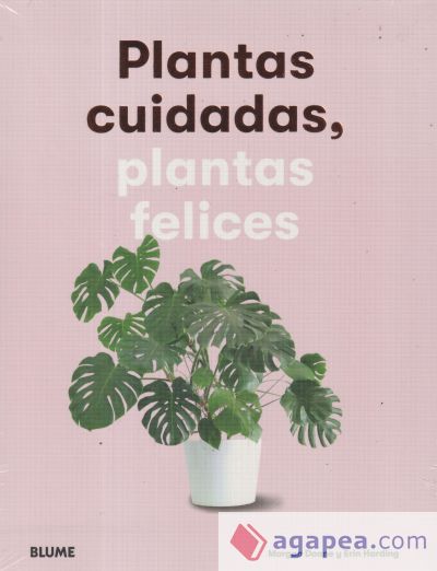 Plantas cuidadas, plantas felices