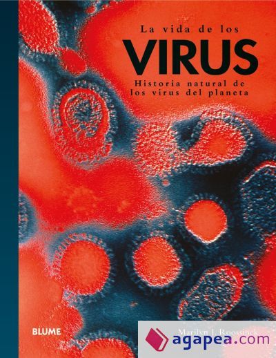Vida de los virus Vida de los virus