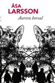 Portada de Aurora boreal