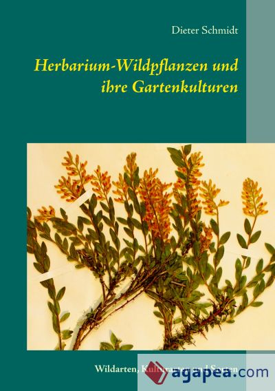 Herbarium-Wildpflanzen und ihre Gartenkulturen