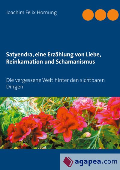 Satyendra, eine Erzählung von Liebe, Reinkarnation und Schamanismus: Die vergessene Welt hinter den sichtbaren Dingen