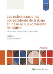 Portada de LAS INDEMNIZACIONES POR ACCIDENTE DE TRABAJO EN BA