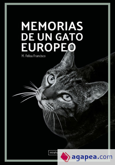 Memorias de un gato europeo
