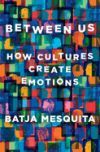 Between Us: How Cultures Create Emotions