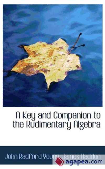 A Key and Companion to the Rudimentary Algebra