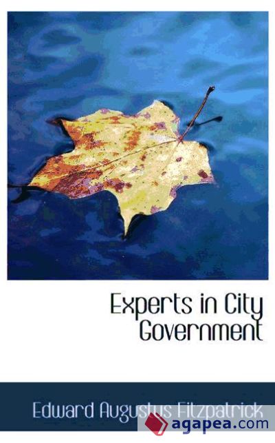 Experts in City Government