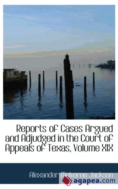 Reports of Cases Argued and Adjudged in the Court of Appeals of Texas, Volume XIX