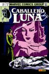Biblioteca caballero luna n.4. vidriera escarlata 4