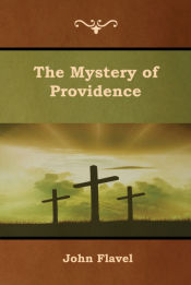 Portada de The Mystery of Providence